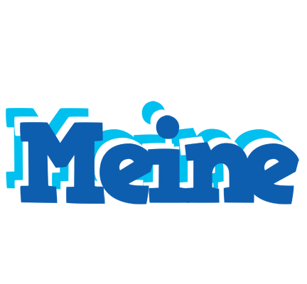 Meine business logo