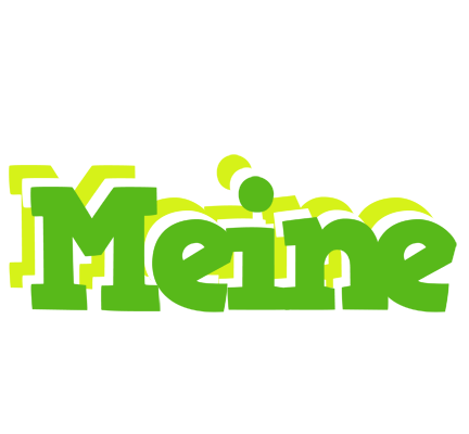 Meine picnic logo