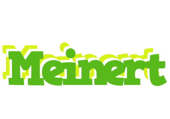 Meinert picnic logo