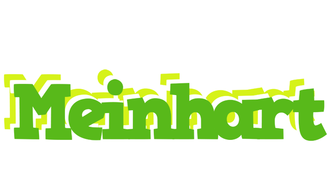 Meinhart picnic logo