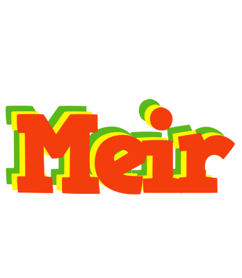 Meir bbq logo