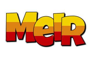 Meir jungle logo