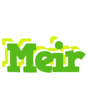 Meir picnic logo