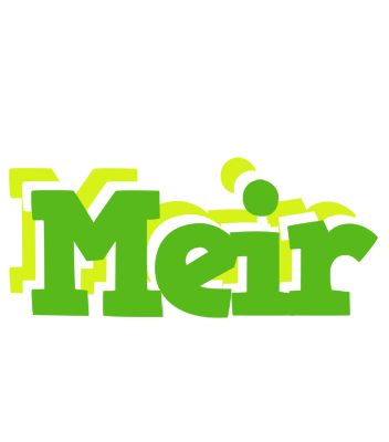 Meir picnic logo