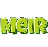 Meir summer logo