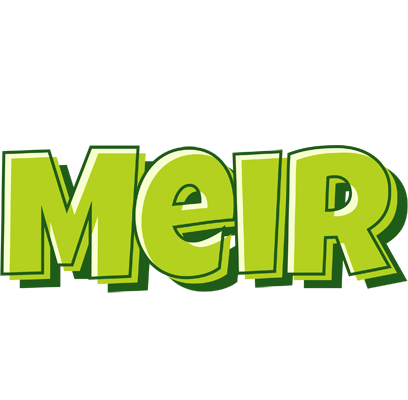 Meir summer logo