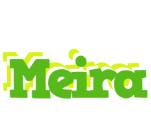Meira picnic logo