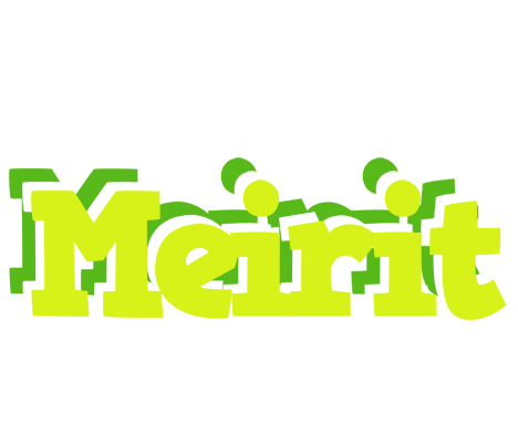 Meirit citrus logo