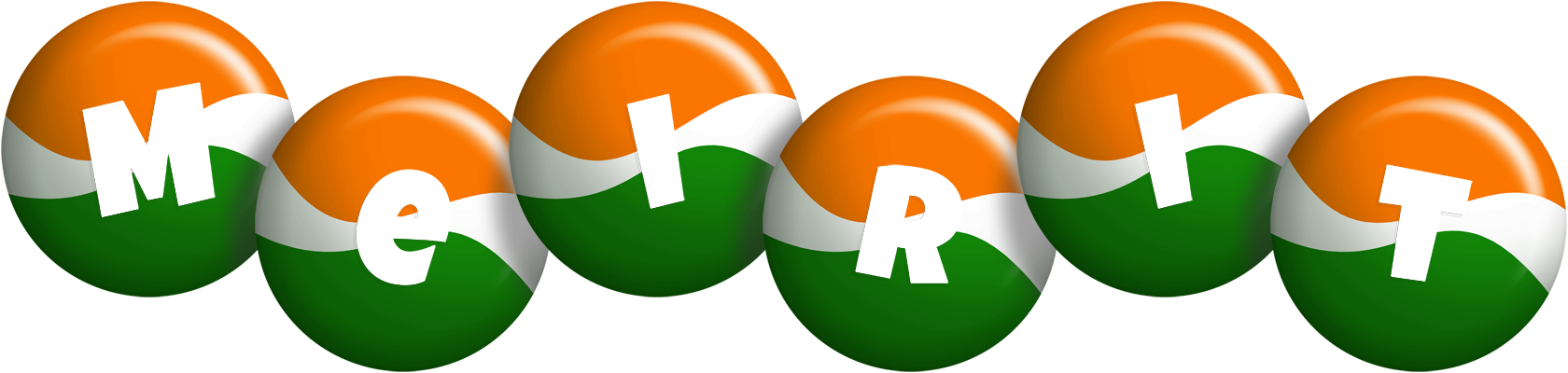 Meirit india logo