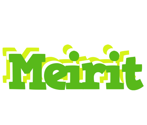 Meirit picnic logo