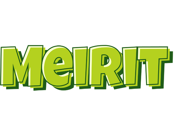 Meirit summer logo