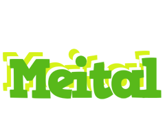 Meital picnic logo