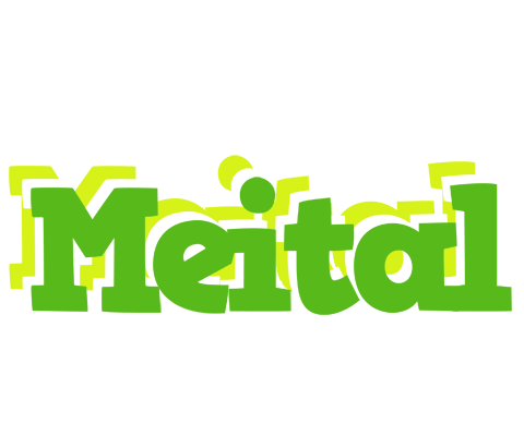 Meital picnic logo