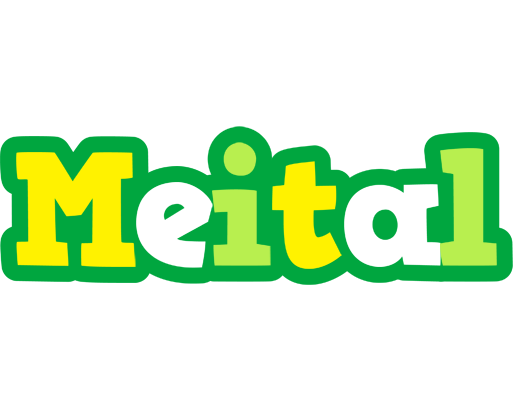 Meital soccer logo