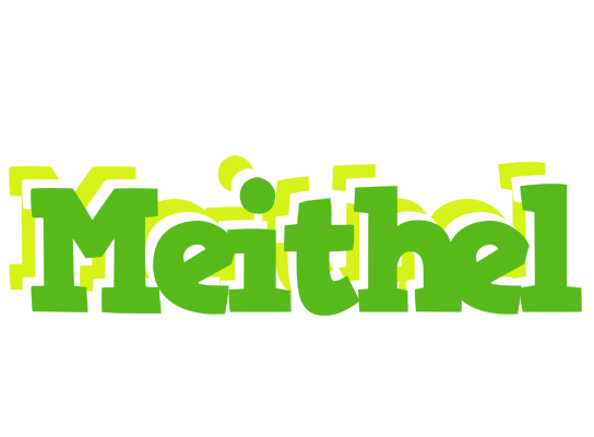 Meithel picnic logo