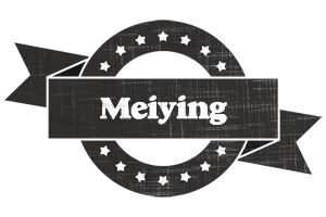 Meiying grunge logo