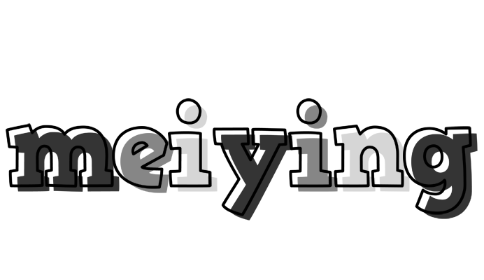 Meiying night logo