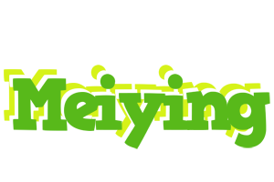 Meiying picnic logo