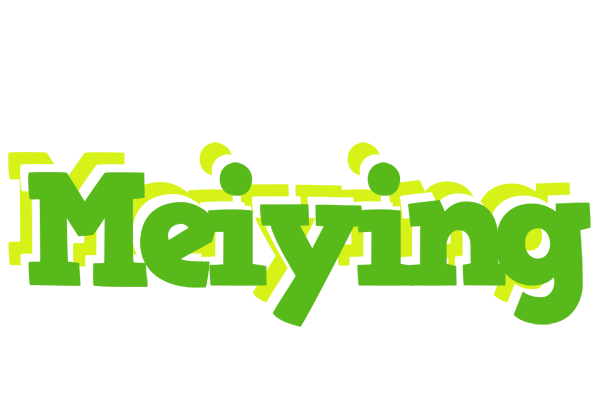 Meiying picnic logo