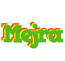 Mejra crocodile logo