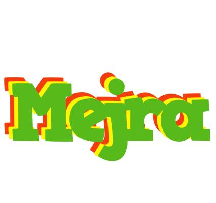 Mejra crocodile logo