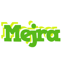 Mejra picnic logo