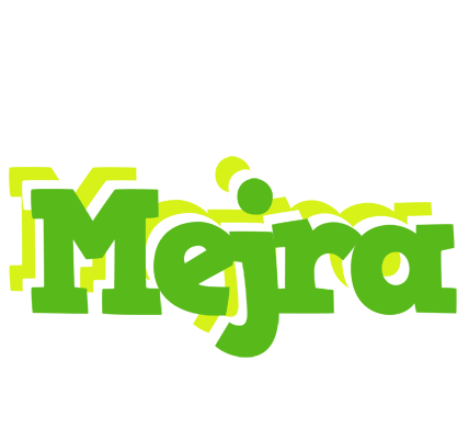 Mejra picnic logo