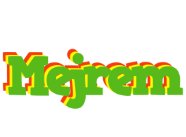 Mejrem crocodile logo
