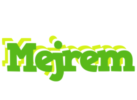 Mejrem picnic logo