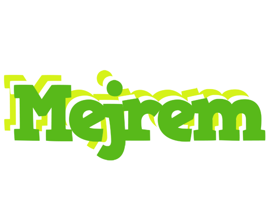 Mejrem picnic logo