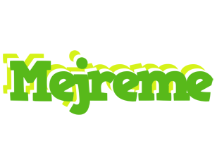 Mejreme picnic logo