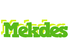Mekdes picnic logo