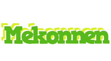 Mekonnen picnic logo