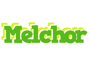 Melchor picnic logo