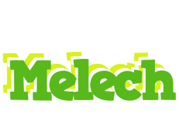 Melech picnic logo