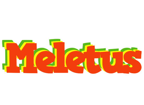 Meletus bbq logo
