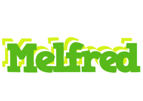 Melfred picnic logo