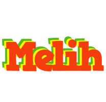 Melih bbq logo