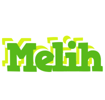 Melih picnic logo