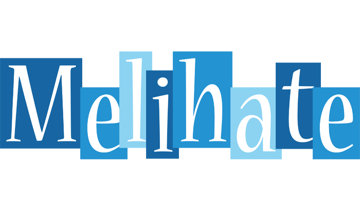 Melihate winter logo