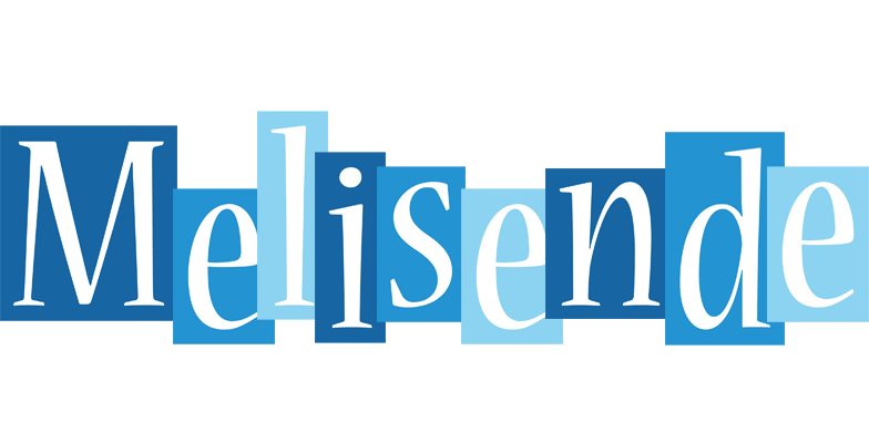Melisende winter logo