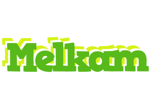 Melkam picnic logo