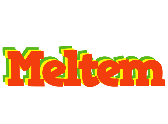 Meltem bbq logo