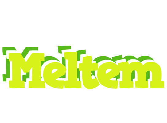 Meltem citrus logo