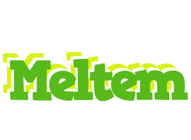 Meltem picnic logo