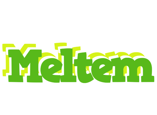 Meltem picnic logo