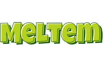 Meltem summer logo