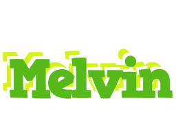 Melvin picnic logo