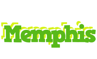 Memphis picnic logo