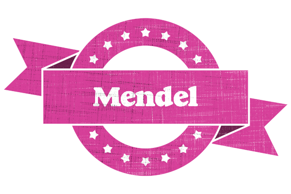 Mendel beauty logo